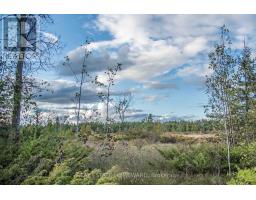 LOT 254 MCGUIRE BEACH ROAD, Kawartha Lakes, Ontario