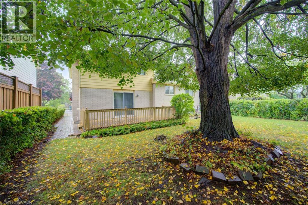 45 Wimbleton Crescent, Kitchener, Ontario  N2B 3K4 - Photo 7 - 40773747