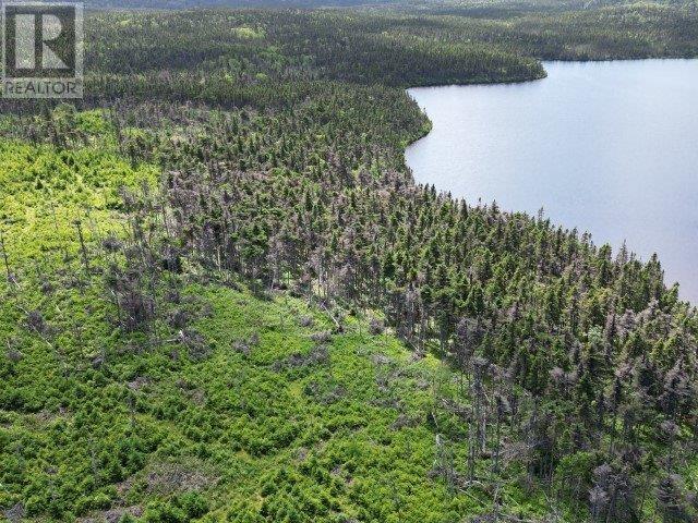 1 Peytons Pond, Pouch Cove, Newfoundland & Labrador