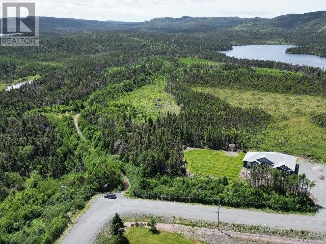 1 Peytons Pond, Pouch Cove, Newfoundland & Labrador  A0A 3L0 - Photo 12 - 1278450