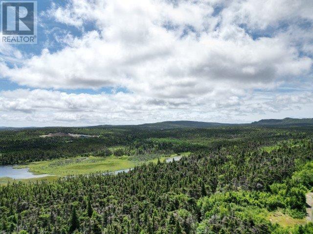 1 Peytons Pond, Pouch Cove, Newfoundland & Labrador  A0A 3L0 - Photo 2 - 1278450