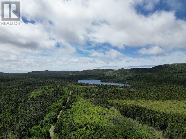 1 Peytons Pond, Pouch Cove, Newfoundland & Labrador  A0A 3L0 - Photo 3 - 1278450