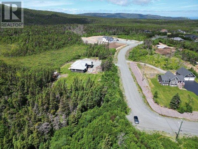 1 Peytons Pond, Pouch Cove, Newfoundland & Labrador  A0A 3L0 - Photo 4 - 1278450