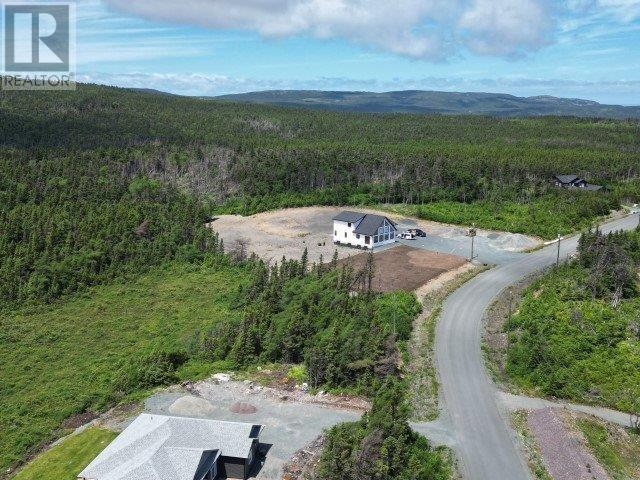 1 Peytons Pond, Pouch Cove, Newfoundland & Labrador  A0A 3L0 - Photo 5 - 1278450