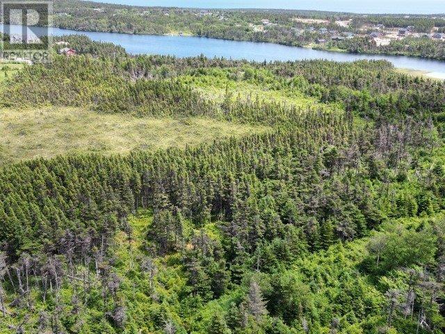 1 Peytons Pond, Pouch Cove, Newfoundland & Labrador  A0A 3L0 - Photo 7 - 1278450