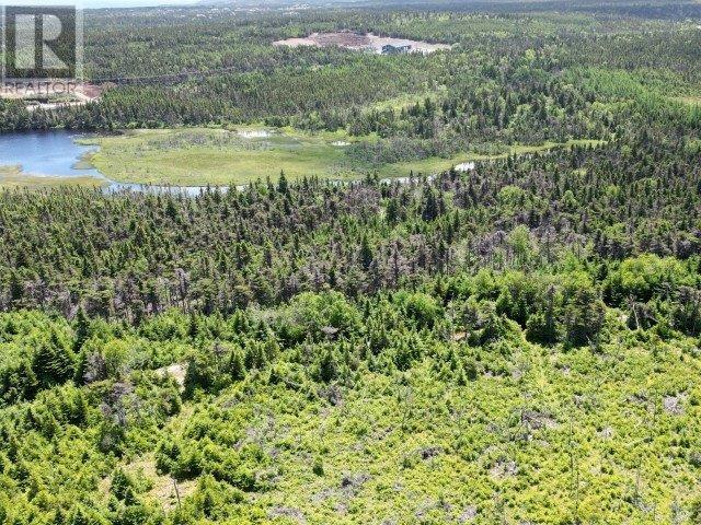 1 Peytons Pond, Pouch Cove, Newfoundland & Labrador  A0A 3L0 - Photo 9 - 1278450
