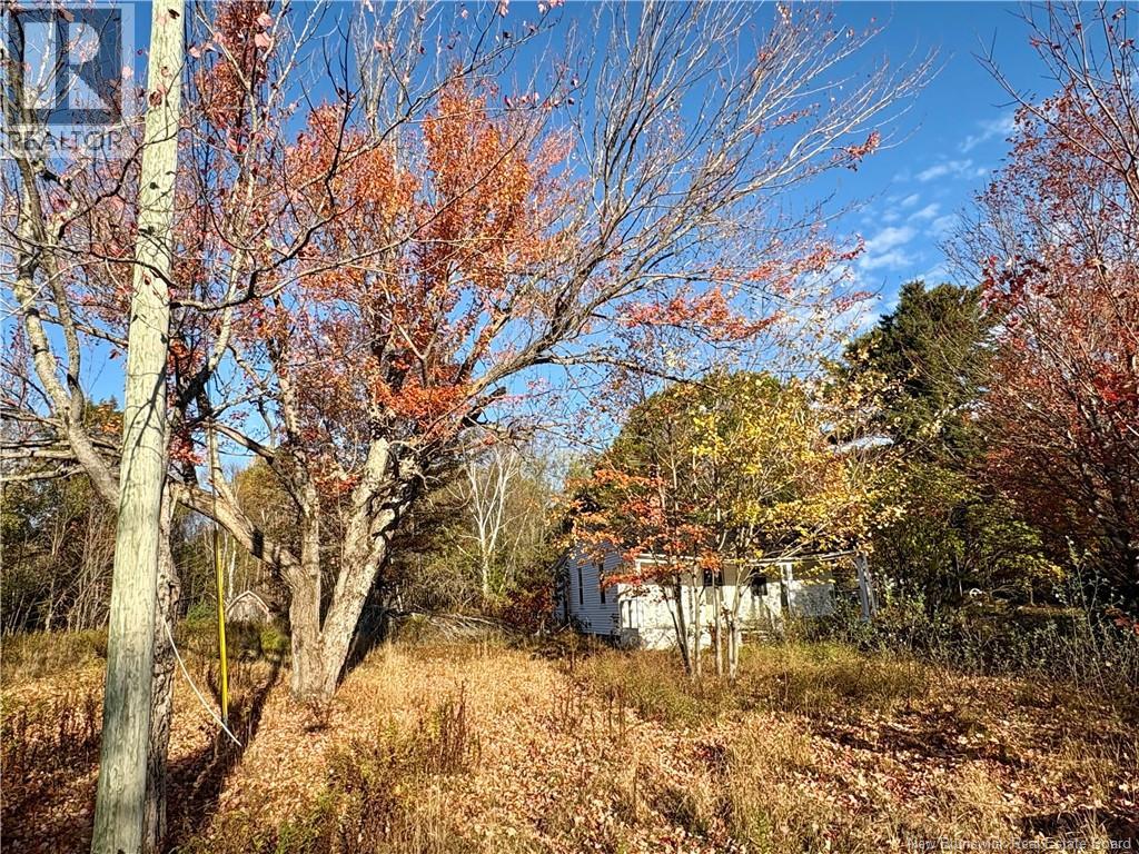 3945 Route 690, Newcastle Creek, New Brunswick  E4B 2J2 - Photo 4 - NB127676