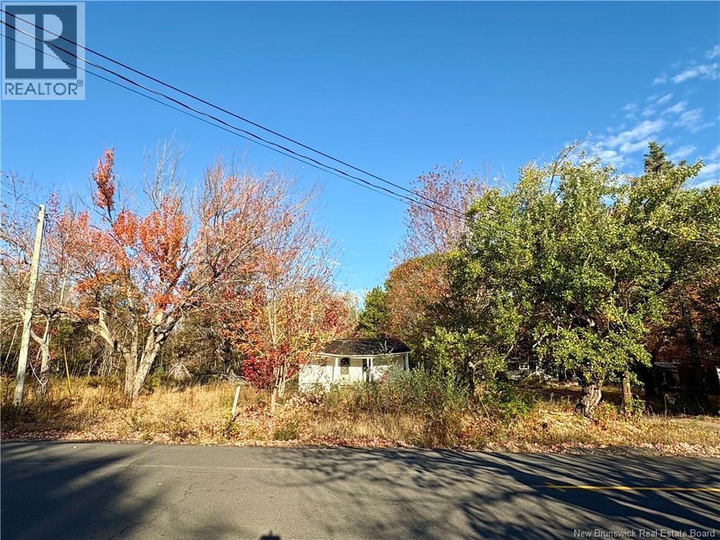 3945 Route 690, Newcastle Creek, New Brunswick  E4B 2J2 - Photo 5 - NB127676
