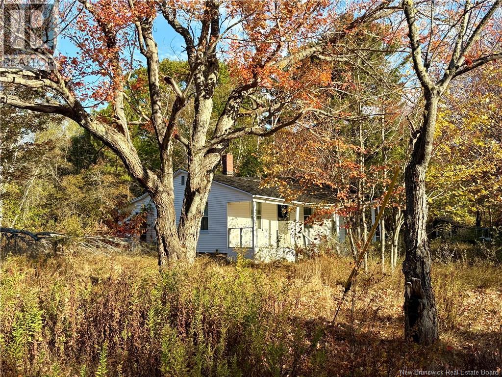3945 Route 690, Newcastle Creek, New Brunswick  E4B 2J2 - Photo 6 - NB127676