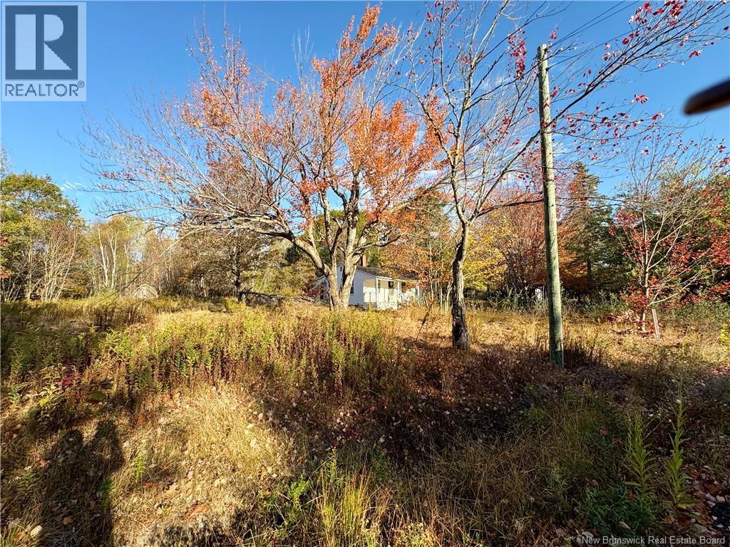 3945 Route 690, Newcastle Creek, New Brunswick  E4B 2J2 - Photo 7 - NB127676
