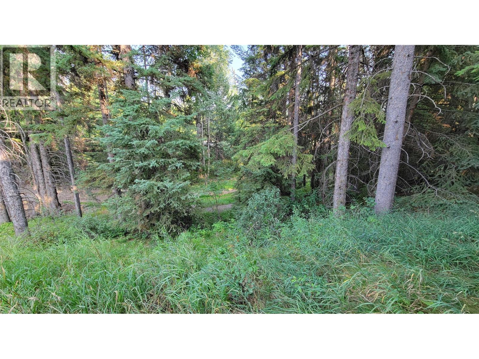1299 Ponderosa Drive Unit# 407b, Sparwood, British Columbia  V0B 2G2 - Photo 22 - 10363117