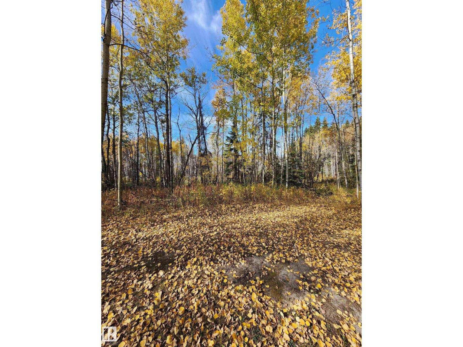 #14 53510 Hwy 43, Rural Lac Ste. Anne County, Alberta  T0E 1V0 - Photo 27 - E4460983