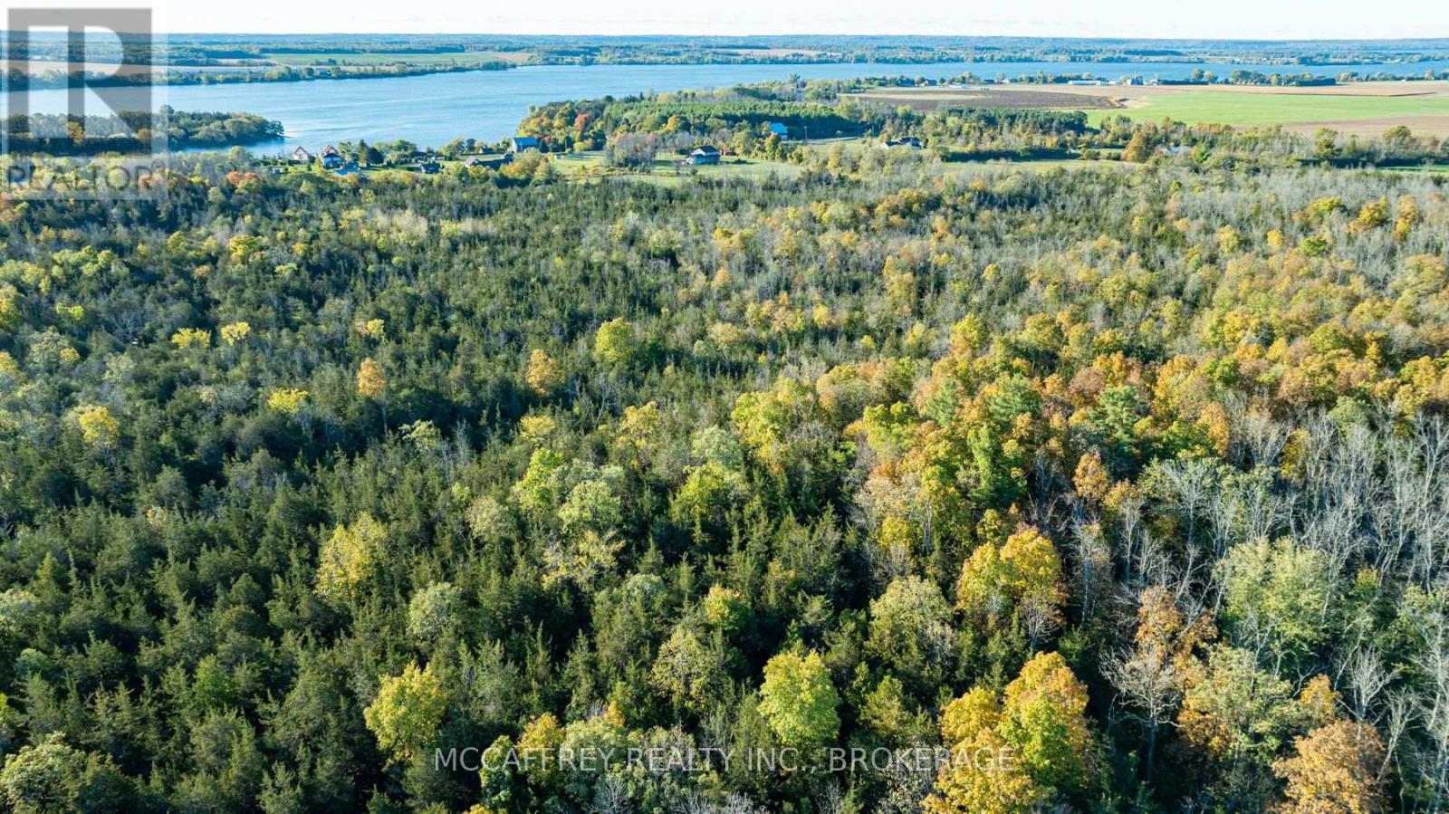 4640 County Rd 9, Greater Napanee, Ontario  K7R 3K8 - Photo 48 - X12346146