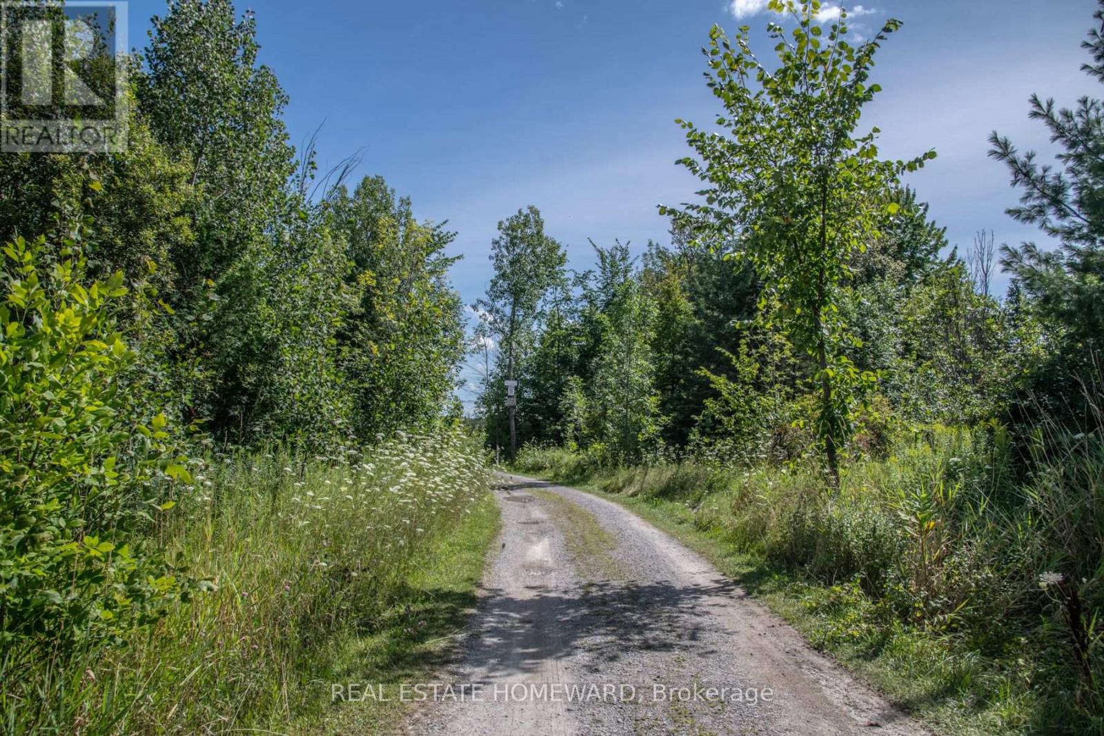 Lot 256 Mcguire Beach Road, Kawartha Lakes, Ontario  K0M 2B0 - Photo 14 - X12446455