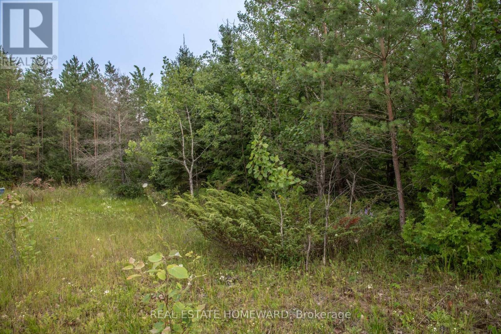 Lot 256 Mcguire Beach Road, Kawartha Lakes, Ontario  K0M 2B0 - Photo 7 - X12446455