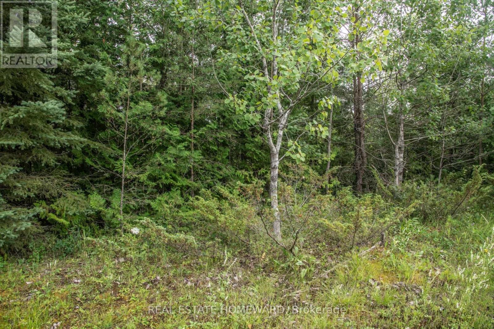 Lot 256 Mcguire Beach Road, Kawartha Lakes, Ontario  K0M 2B0 - Photo 8 - X12446455