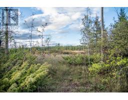 LOT 256 MCGUIRE BEACH ROAD, Kawartha Lakes, Ontario