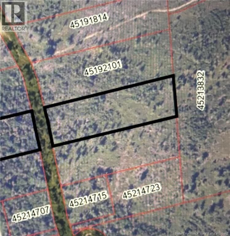 Lot 2 Wegesegum Road, Long Creek, New Brunswick  E4A 2R7 - Photo 3 - NB127908