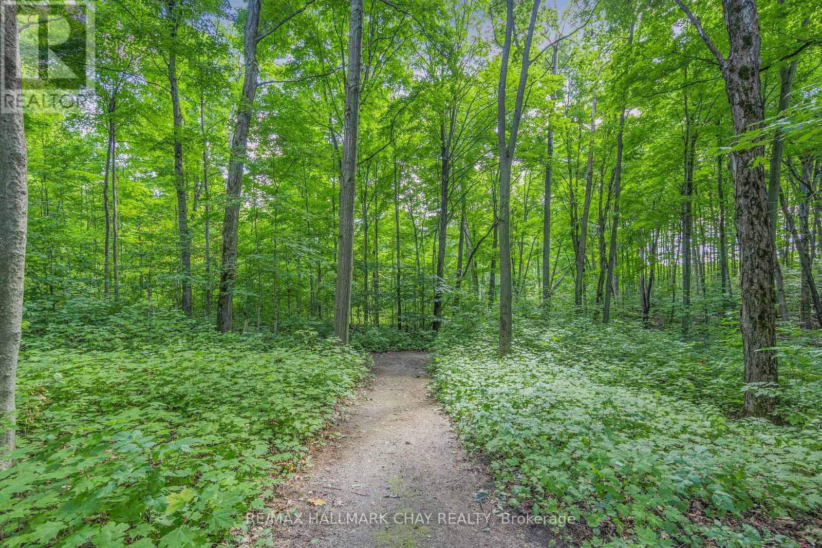 1359 Old Barrie Road E, Oro-Medonte (Hawkestone), Ontario  L0L 1T0 - Photo 48 - S12446590