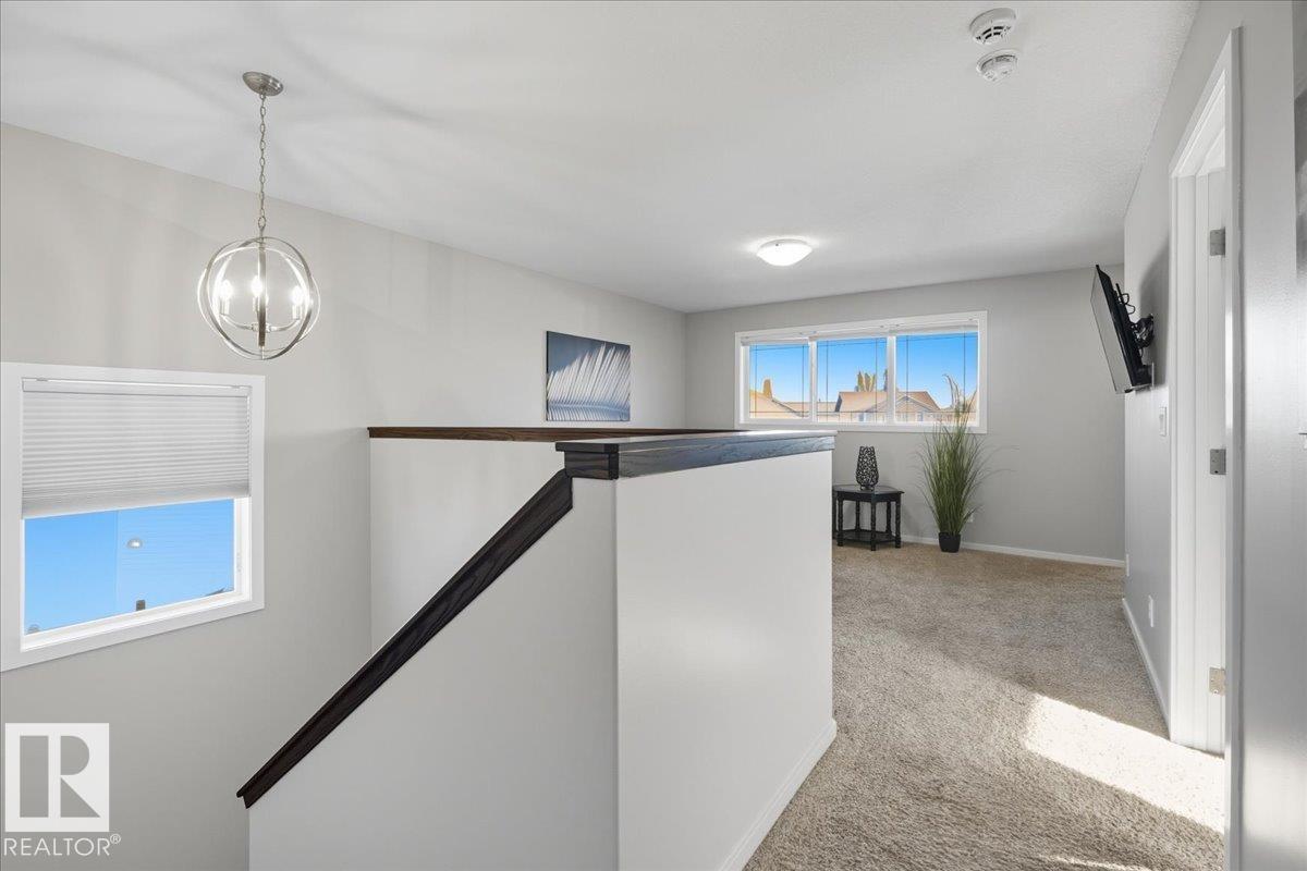 113 Park Gv, Wetaskiwin, Alberta  T9A 1X5 - Photo 13 - E4460988