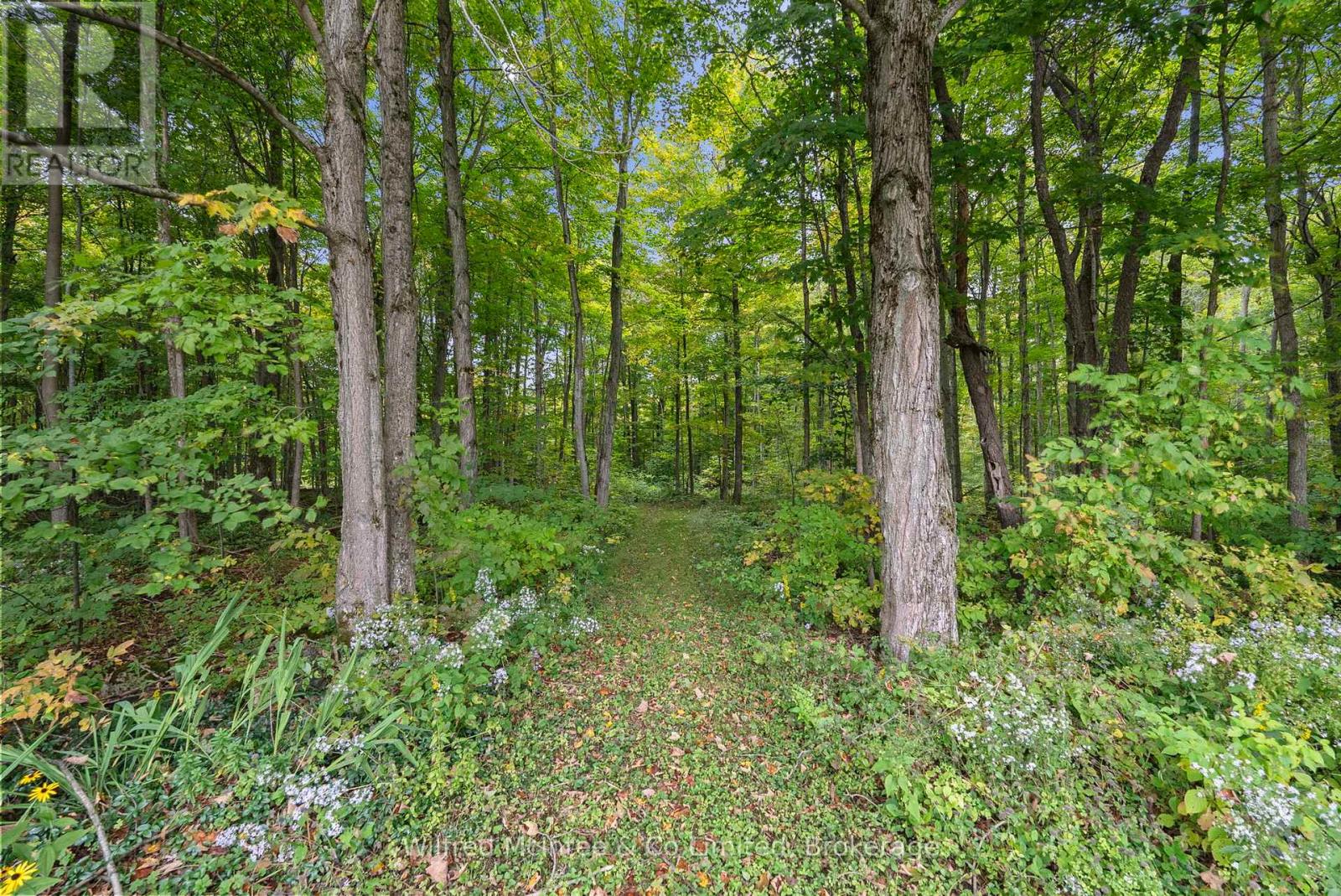 442289 Concession 21, Georgian Bluffs, Ontario  N0H 2T0 - Photo 45 - X12446871