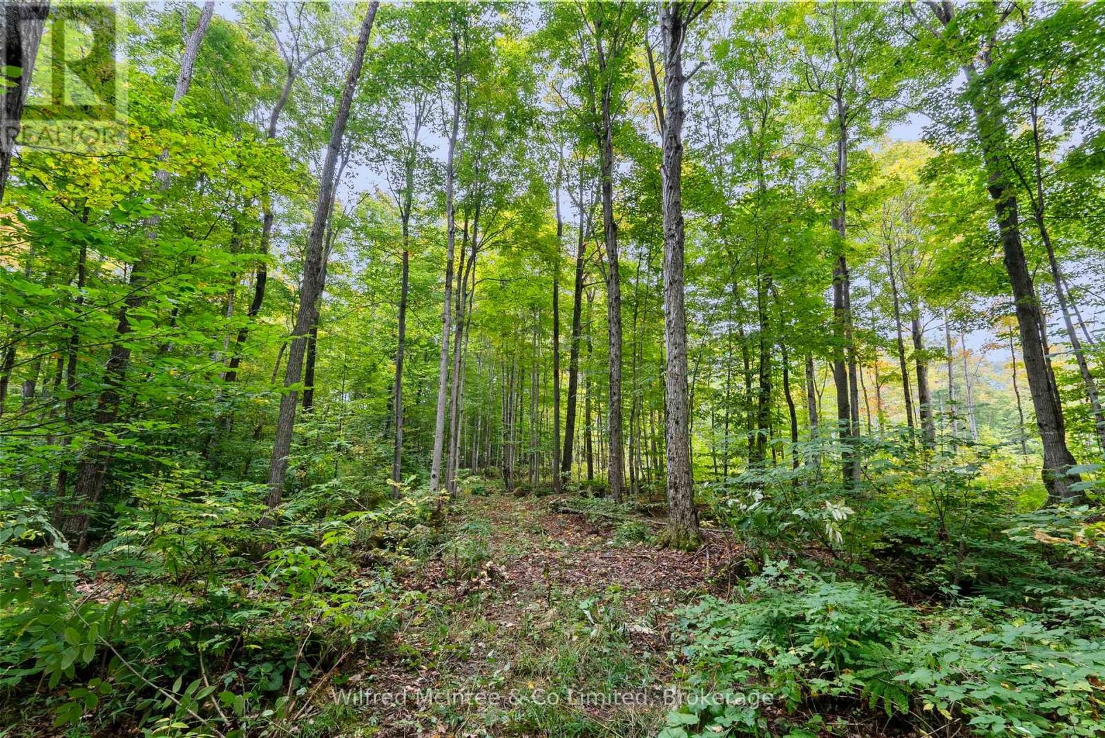 442289 Concession 21, Georgian Bluffs, Ontario  N0H 2T0 - Photo 46 - X12446871