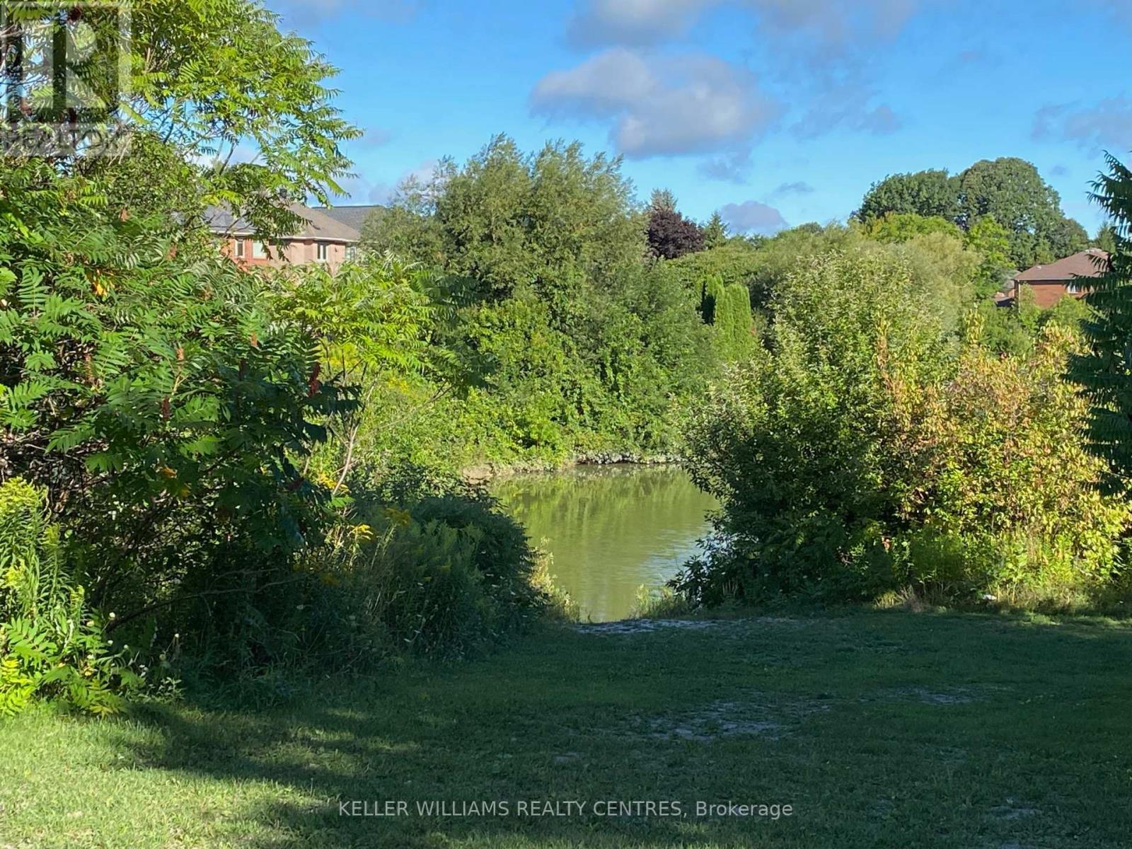 165 Clearmeadow Boulevard, Newmarket, Ontario  L3X 2E4 - Photo 46 - N12341179