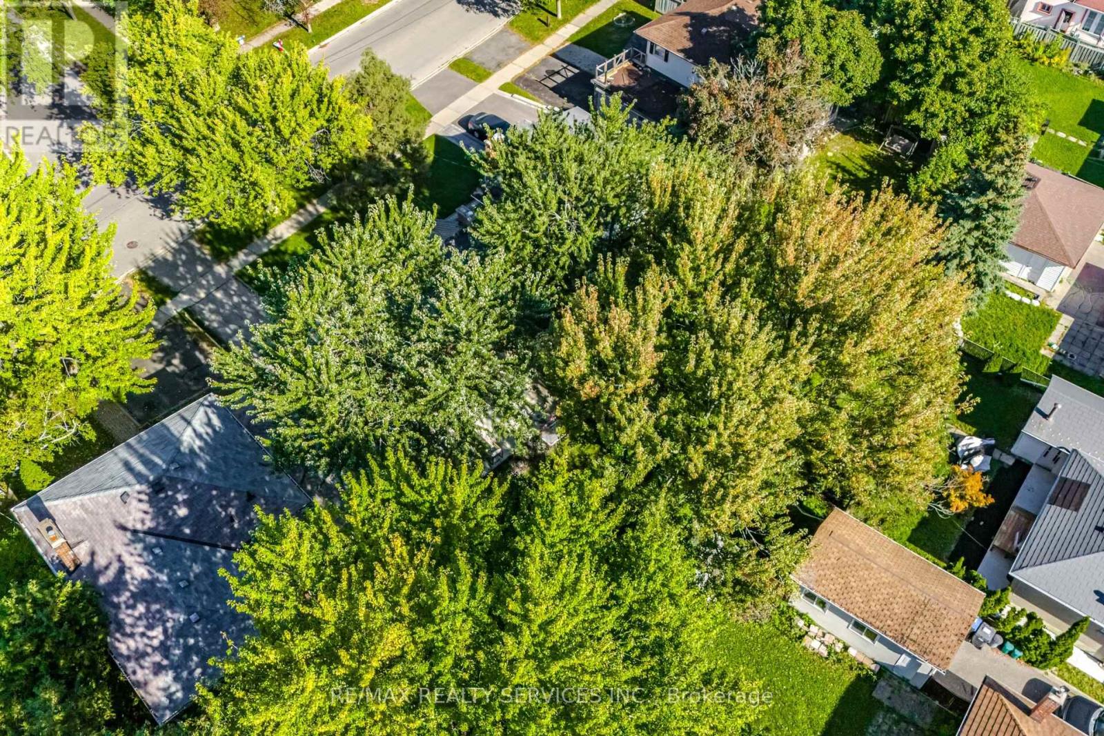 85 Eldomar Avenue, Brampton, Ontario  L6W 1P9 - Photo 41 - W12446735