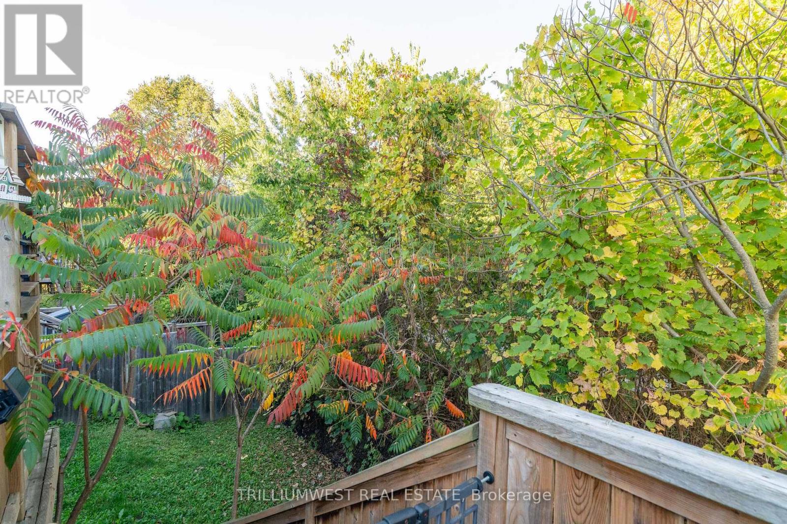 49 Meadowridge Street, Kitchener, Ontario  N2P 0E2 - Photo 37 - X12446719
