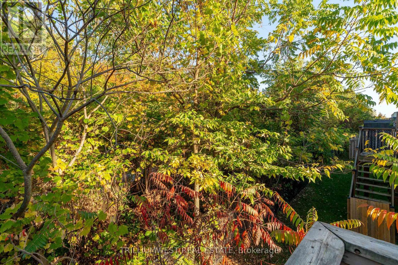 49 Meadowridge Street, Kitchener, Ontario  N2P 0E2 - Photo 39 - X12446719