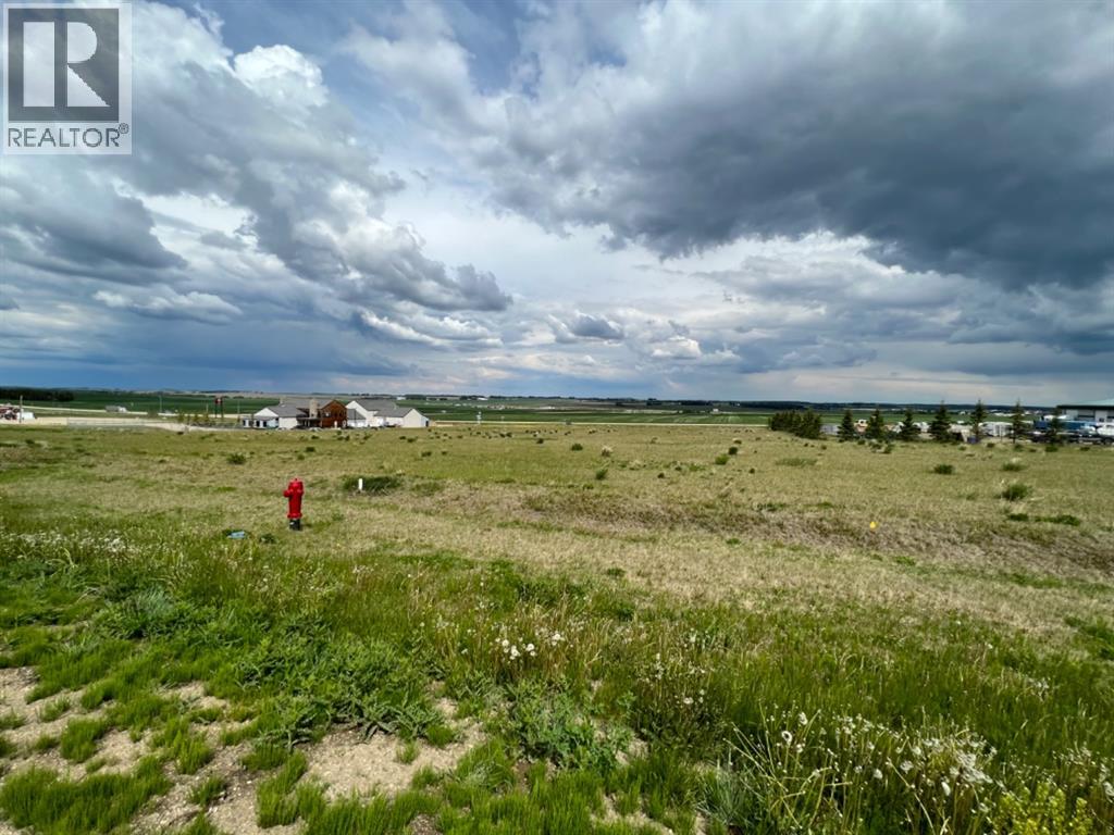 6303 52 Streetdrive, Rimbey, Alberta  T0C 2J0 - Photo 3 - A2219816