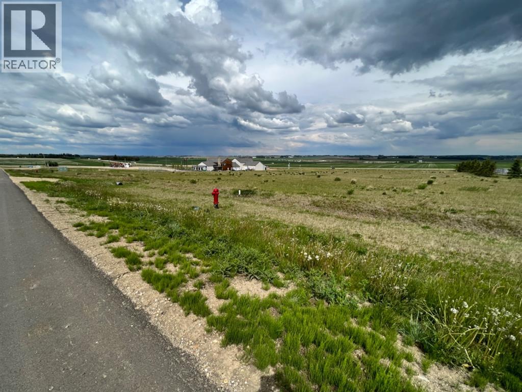 6303 52 Streetdrive, Rimbey, Alberta  T0C 2J0 - Photo 6 - A2219816