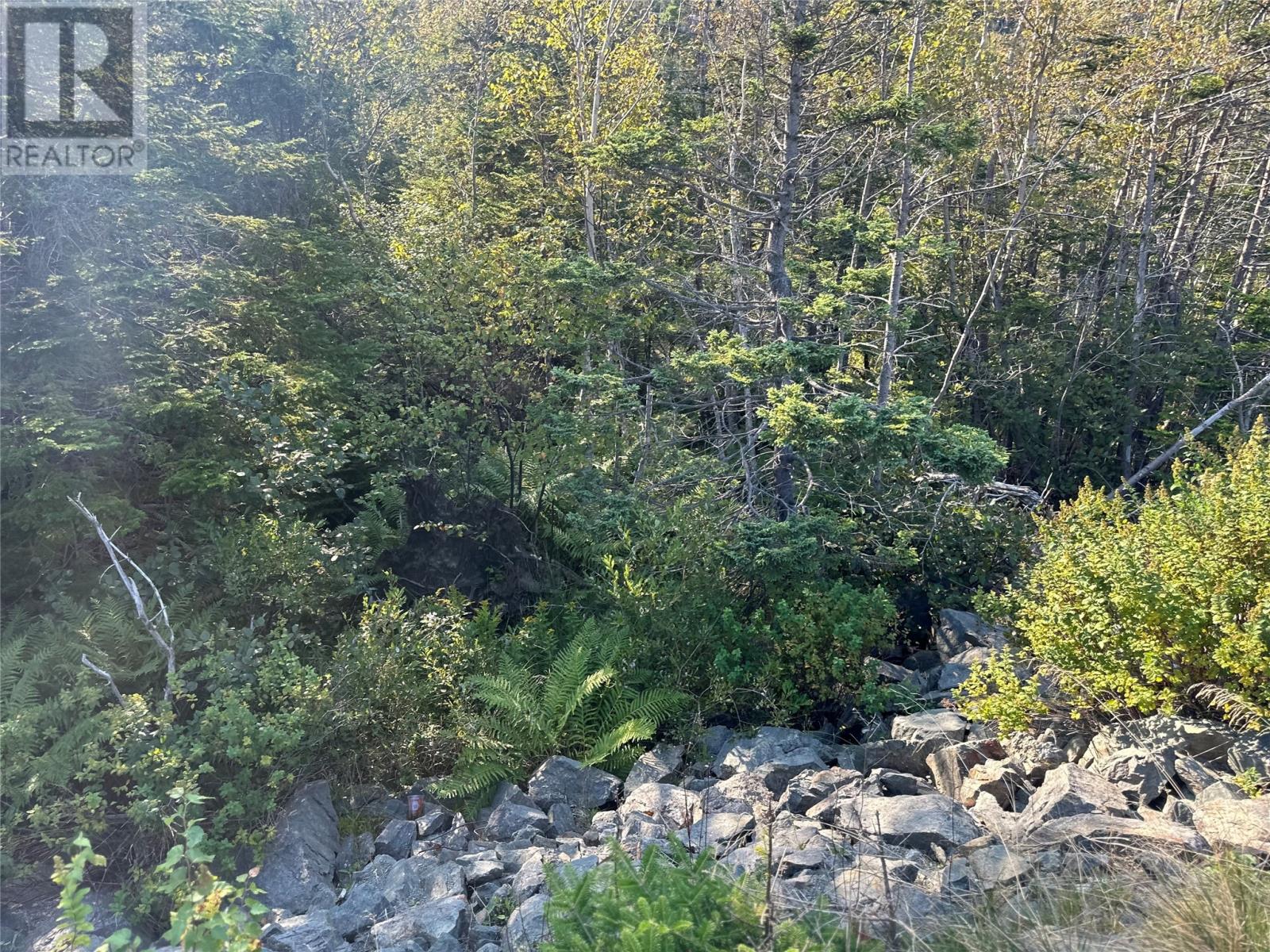 195 Conception Bay Highway, Georgetown, Newfoundland & Labrador  A0A 2Z0 - Photo 16 - 1291265