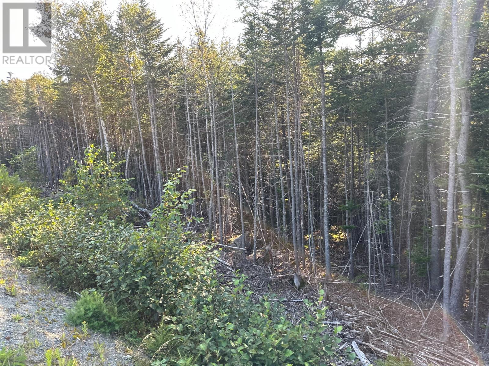 195 Conception Bay Highway, Georgetown, Newfoundland & Labrador  A0A 2Z0 - Photo 23 - 1291265