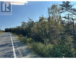 195 Conception Bay Highway, Georgetown, Newfoundland & Labrador