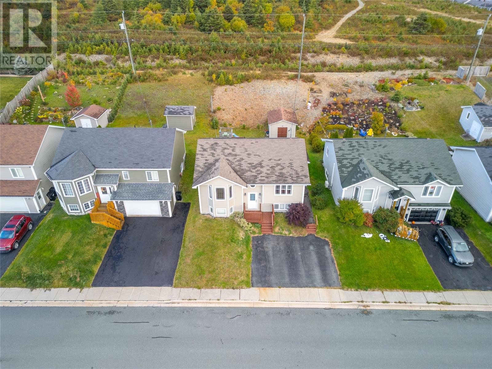 65 Hopedale Crescent, St. John's, Newfoundland & Labrador  A1B 0B3 - Photo 3 - 1291243