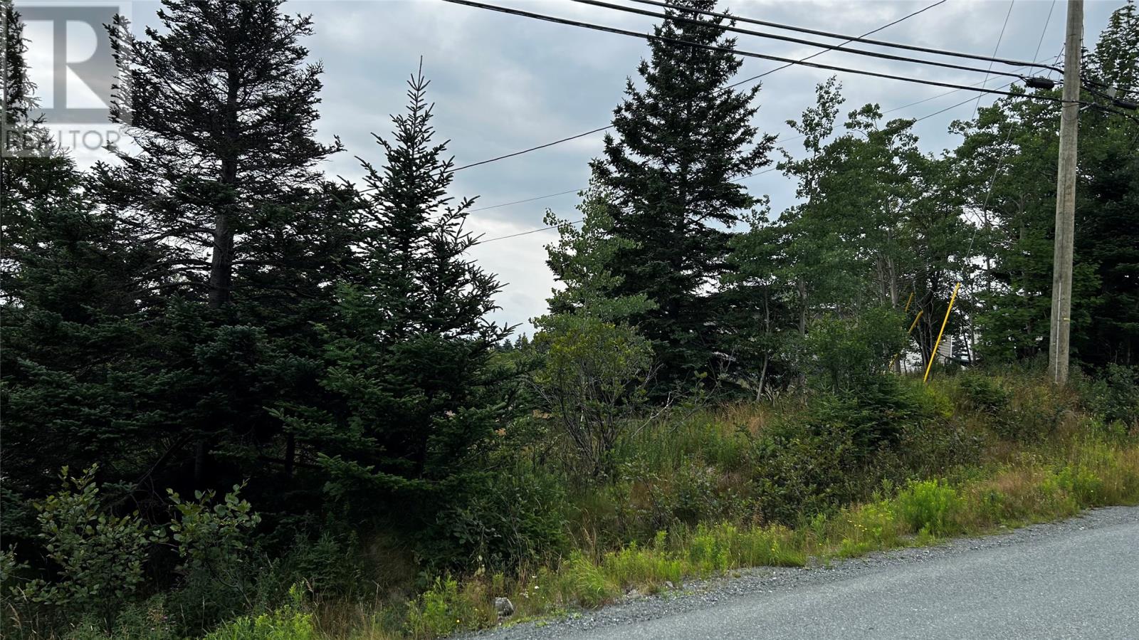 177 Bauline Line, Torbay, Newfoundland & Labrador  A1K 1H6 - Photo 2 - 1291234