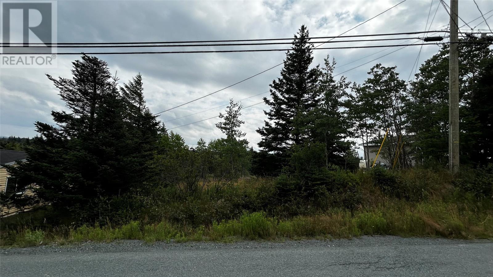 177 Bauline Line, Torbay, Newfoundland & Labrador  A1K 1H6 - Photo 4 - 1291234