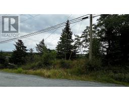 177 Bauline Line, Torbay, Newfoundland & Labrador