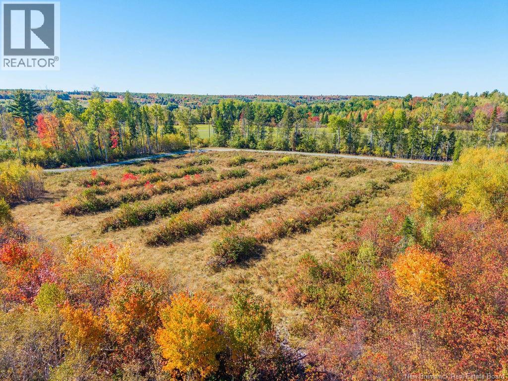 Lot 2023-3 Route 425, Strathadam, New Brunswick  E1V 4H1 - Photo 13 - NB127958