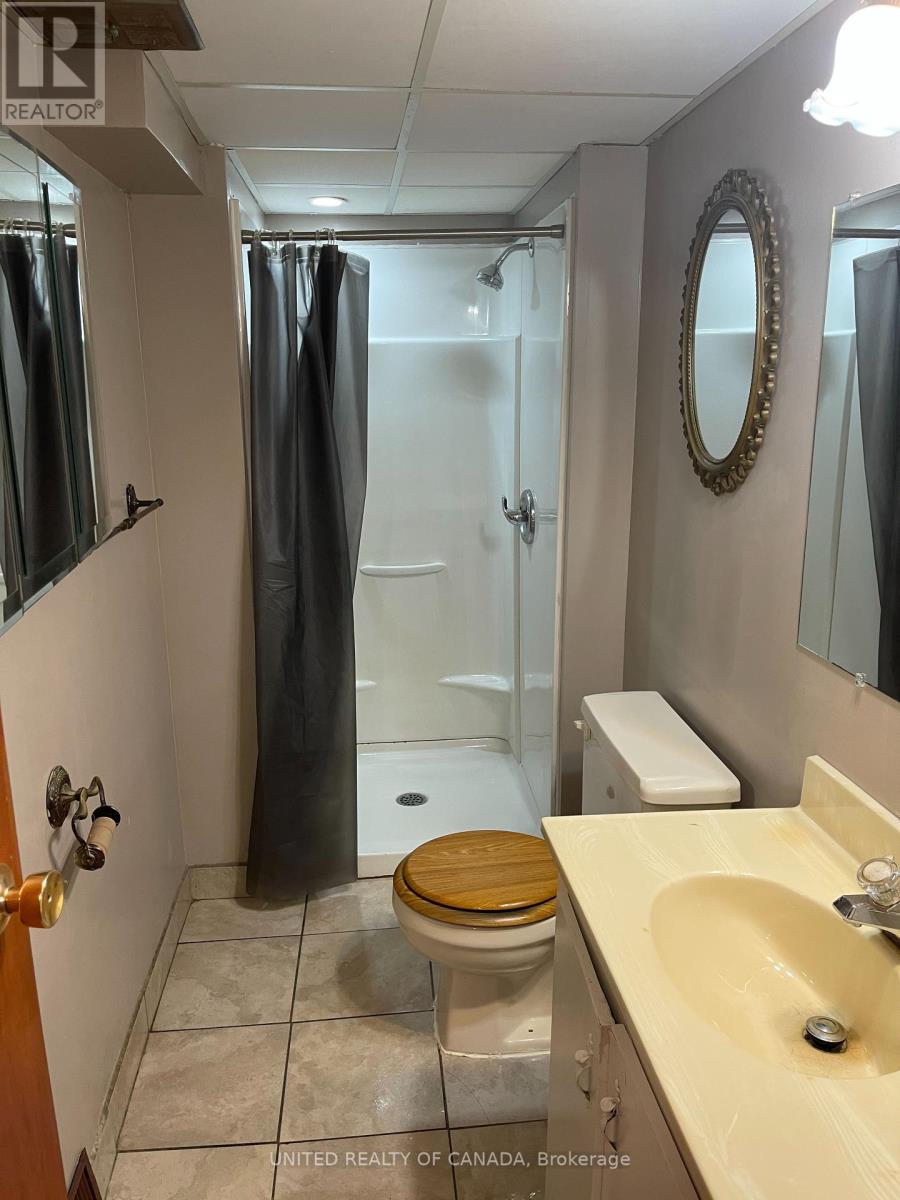 Basement - 42 Lundy's Lane, Newmarket, Ontario  L3Y 3R8 - Photo 15 - N12446968