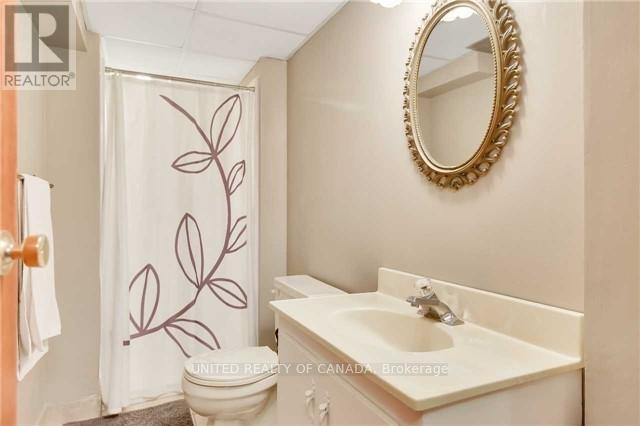 Basement - 42 Lundy's Lane, Newmarket, Ontario  L3Y 3R8 - Photo 18 - N12446968