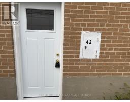 BASEMENT - 42 LUNDY'S LANE, Newmarket, Ontario