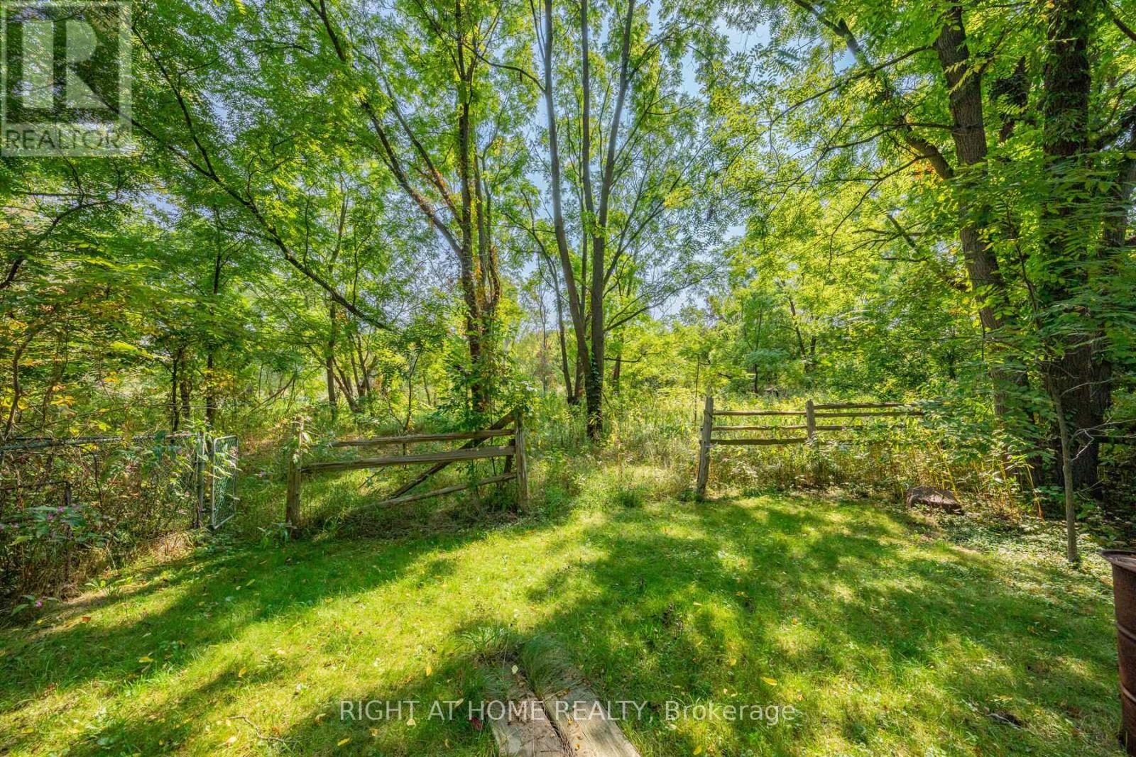 315 Main Street N, Newmarket (Bristol-London), Ontario  L3Y 9A9 - Photo 29 - N12447011