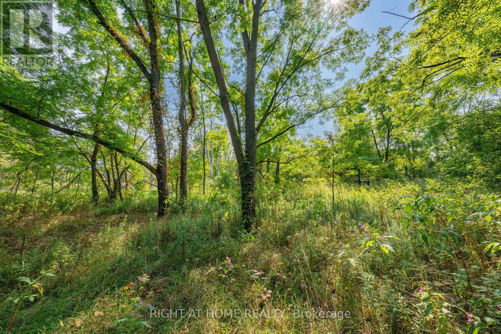 315 Main Street N, Newmarket (Bristol-London), Ontario  L3Y 9A9 - Photo 30 - N12447011