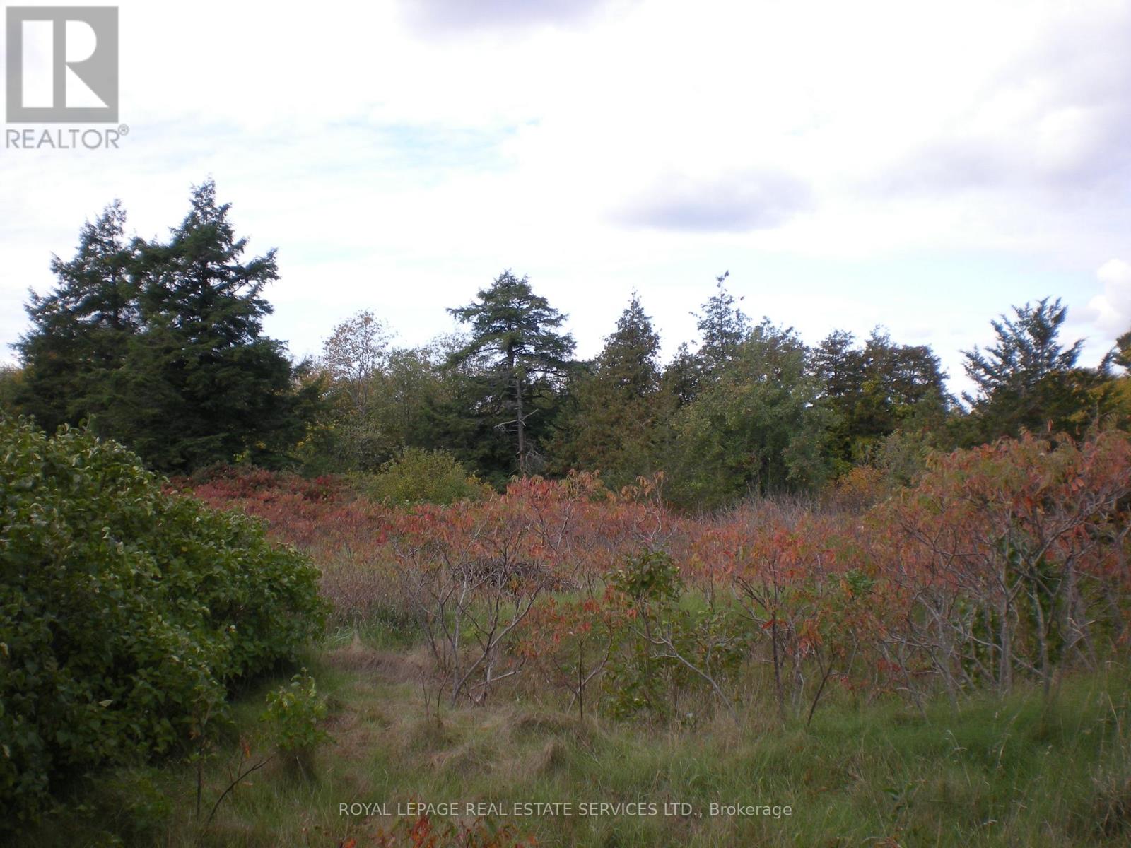 County Road 10 2&3, Prince Edward County (South Marysburg Ward), Ontario  K0K 2T0 - Photo 12 - X12446970