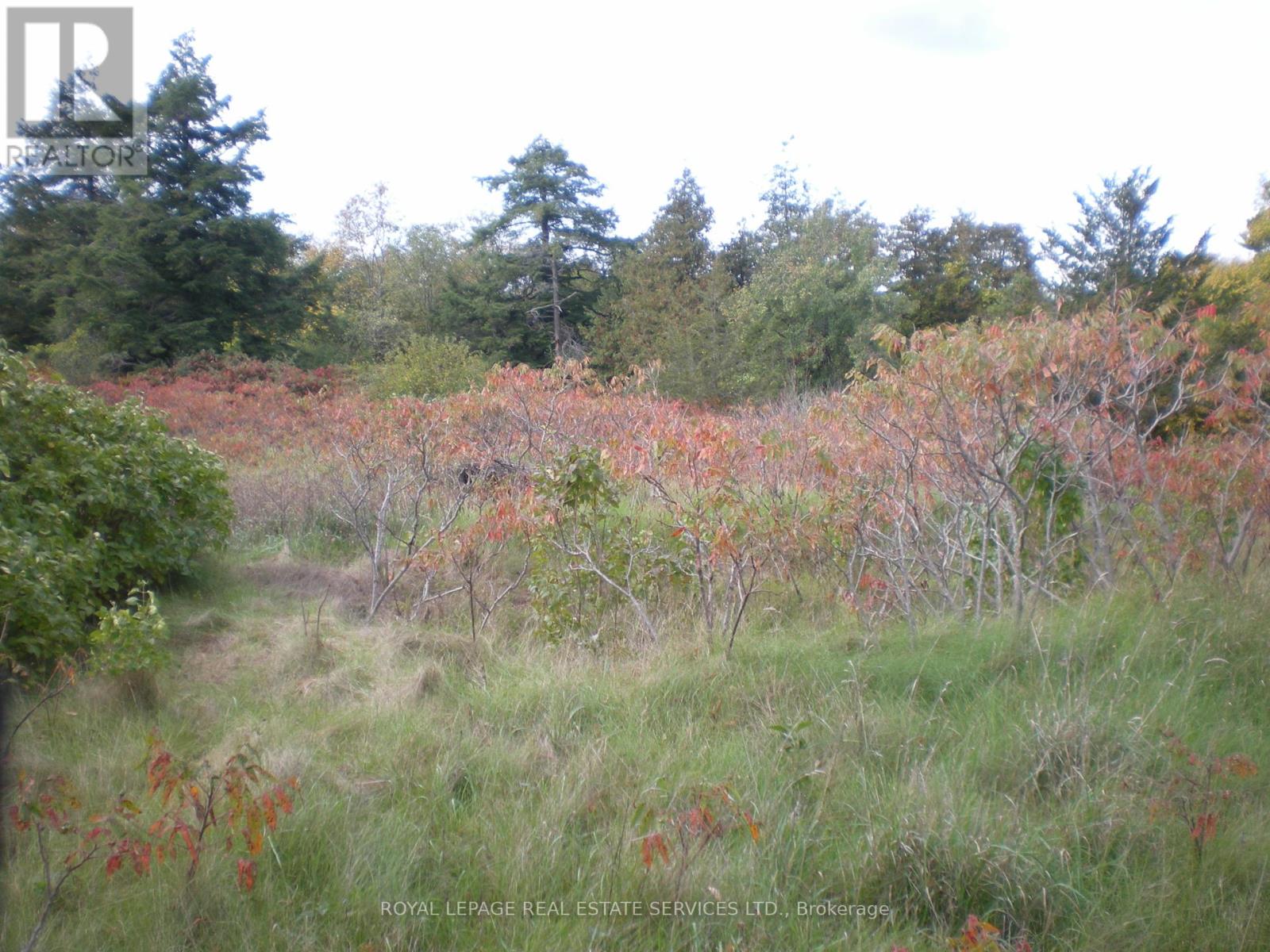 County Road 10 2&3, Prince Edward County (South Marysburg Ward), Ontario  K0K 2T0 - Photo 13 - X12446970