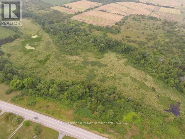 County Road 10 2&3, Prince Edward County (South Marysburg Ward), Ontario  K0K 2T0 - Photo 4 - X12446970