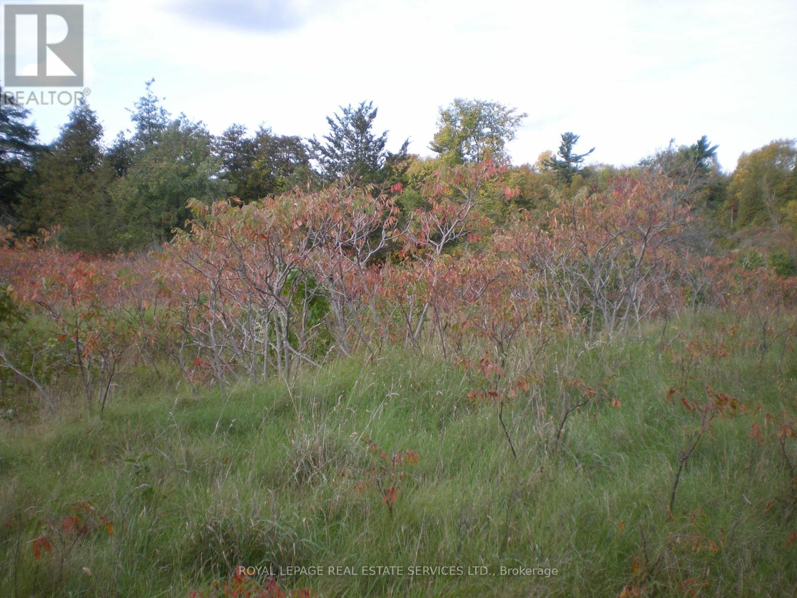 County Road 10 2&3, Prince Edward County (South Marysburg Ward), Ontario  K0K 2T0 - Photo 5 - X12446970