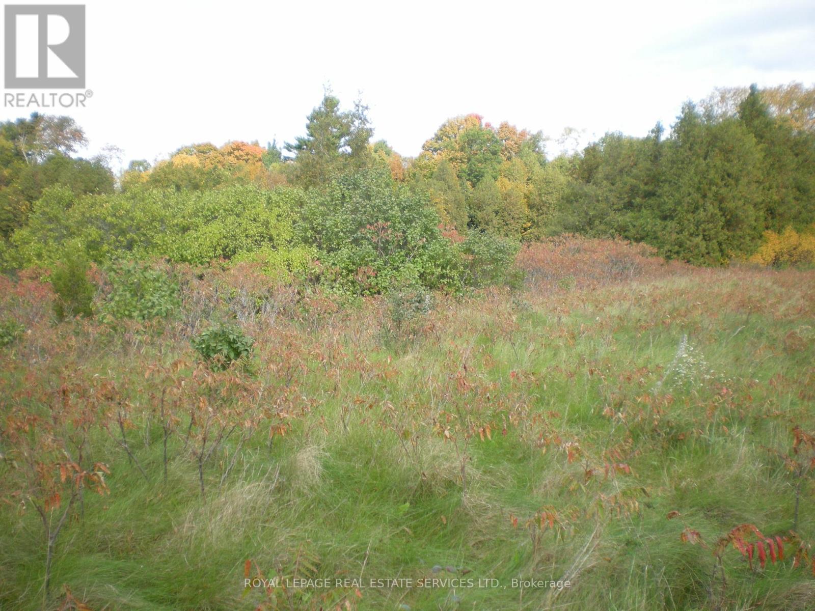 County Road 10 2&3, Prince Edward County (South Marysburg Ward), Ontario  K0K 2T0 - Photo 7 - X12446970